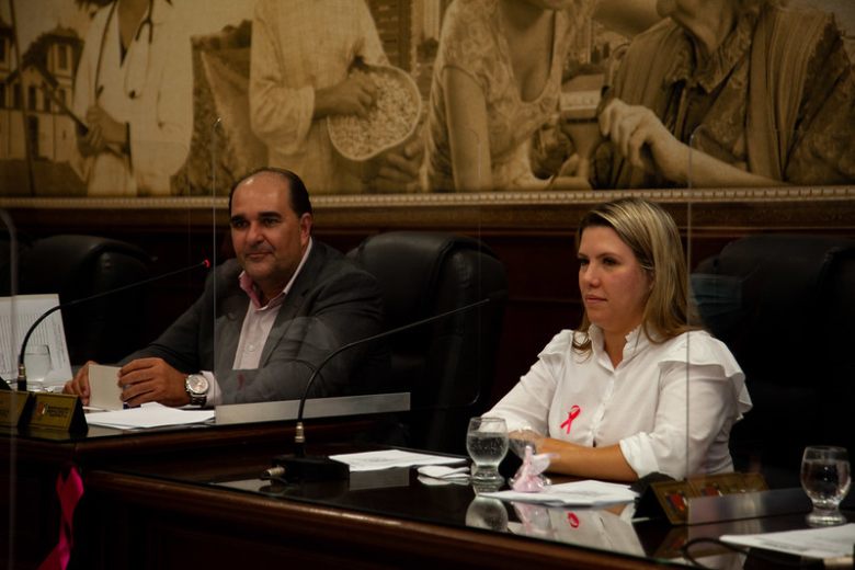reunião vereadores