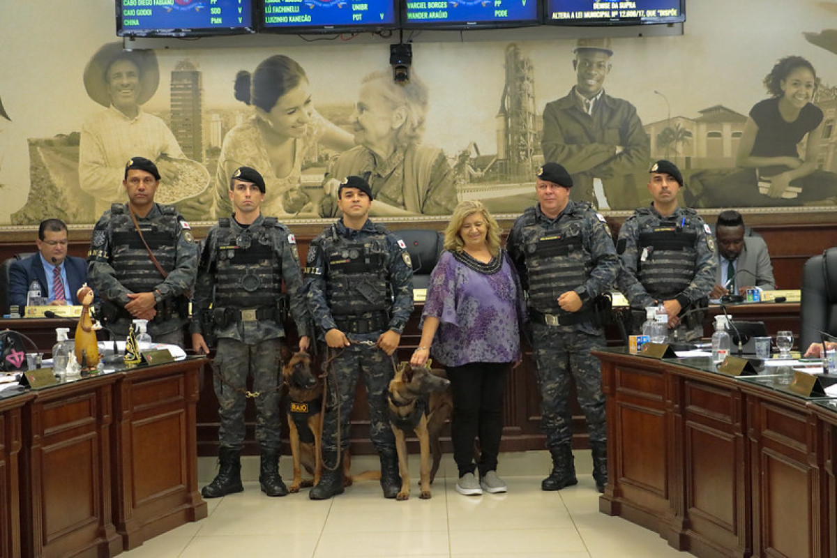 CÃES