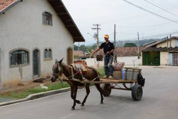 Carroceiro