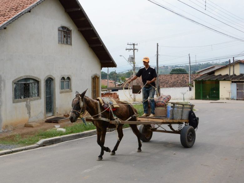 Carroceiro