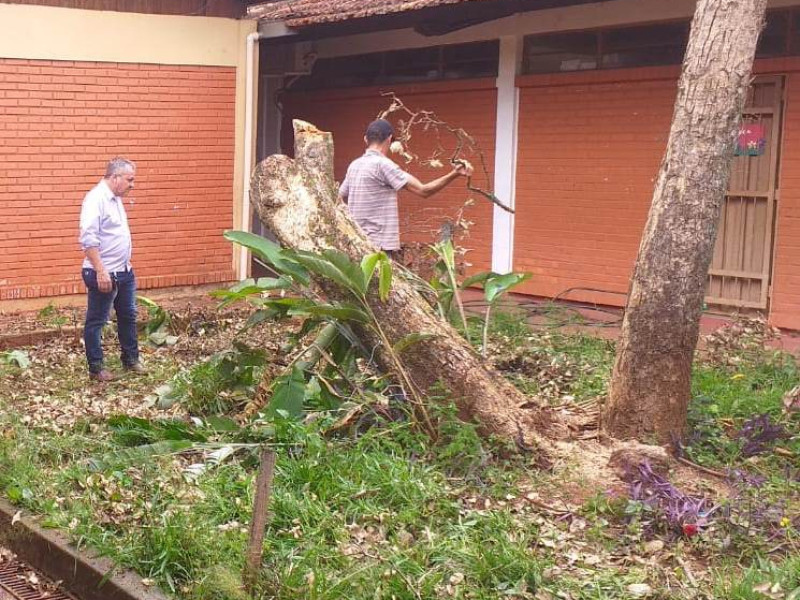 Vereador Elias Divino retira árvore caída em escola