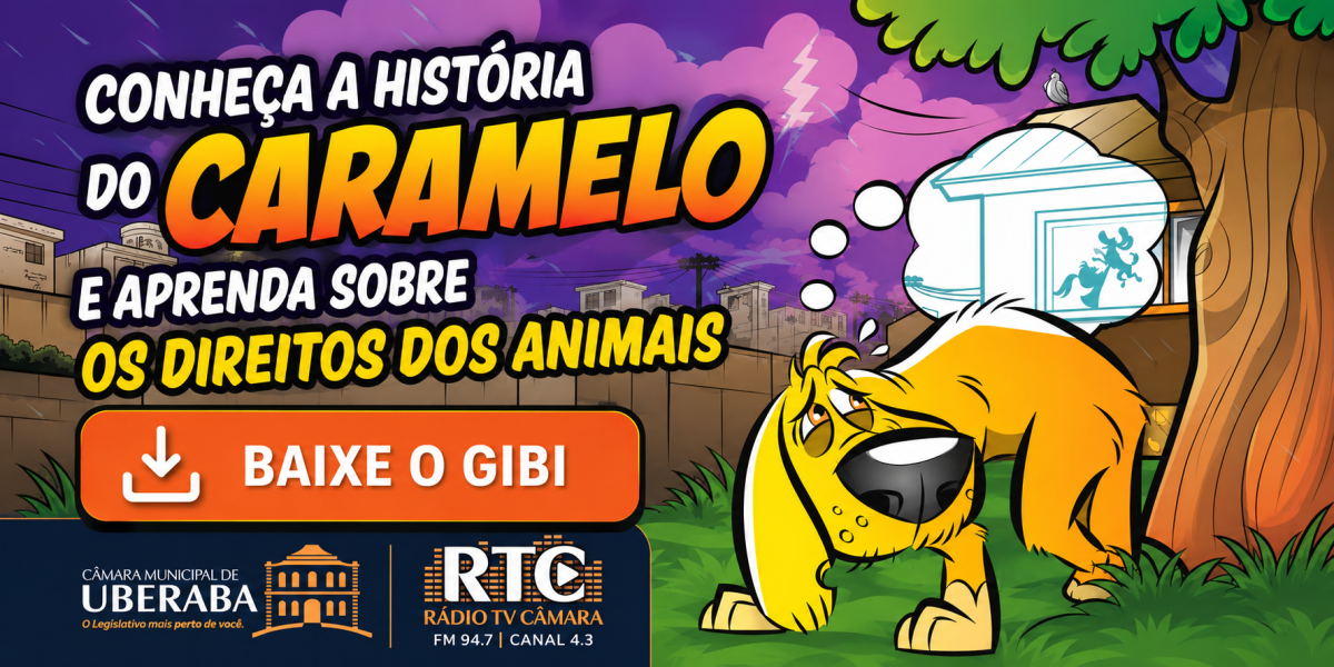 banner-gibi-um-cachorro-sem-lar