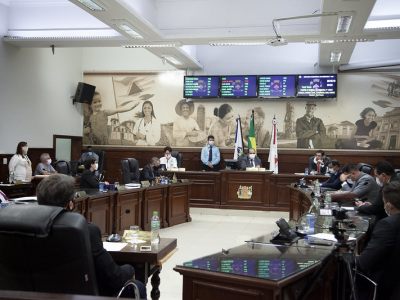 PLENARIO (5)