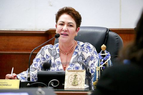 LU fACHINELLI