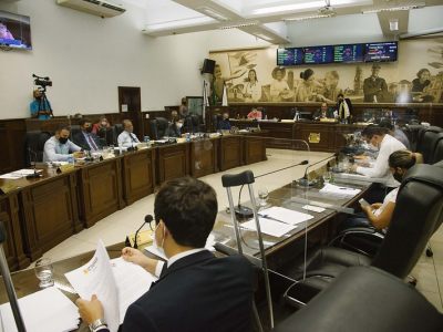 PLENARIO (2)