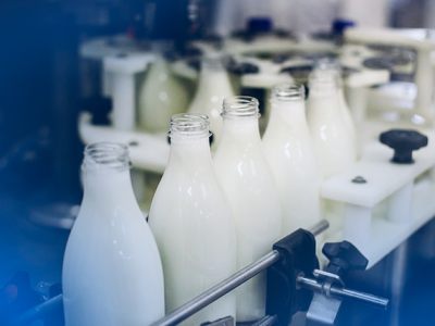 industria-de-laticinios