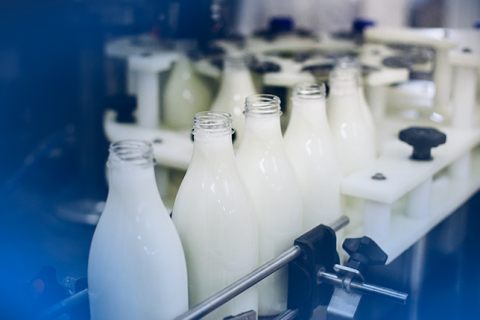 industria-de-laticinios