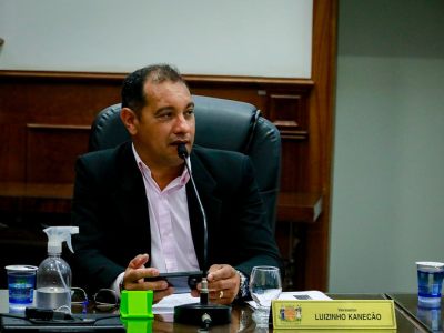 Luizinho